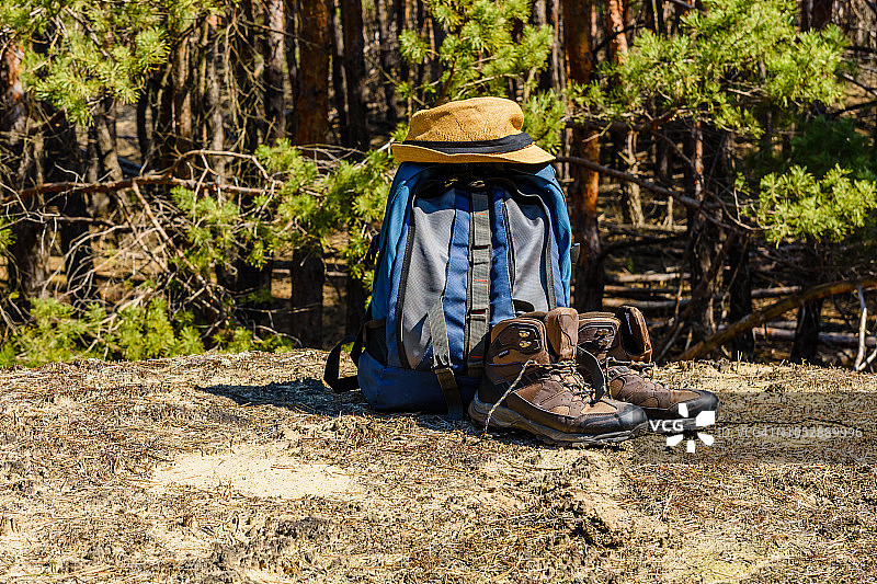 背包，旅游靴和帽子在一个针叶林的地面上图片素材