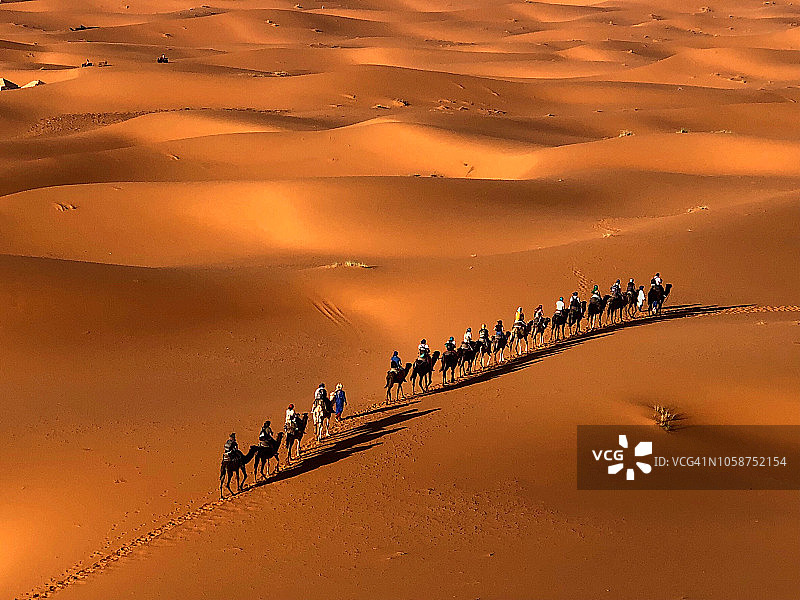 在一个阳光明媚的日子里，摩洛哥撒哈拉梅尔佐加沙漠中的骆驼队图片素材