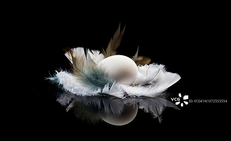 鸡蛋和羽毛在黑色的背景上图片素材
