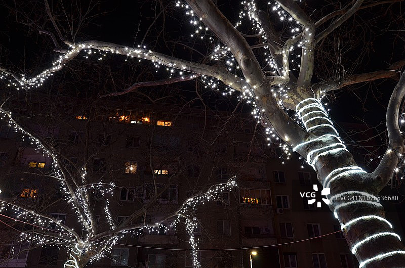 树干缠绕着led灯图片素材