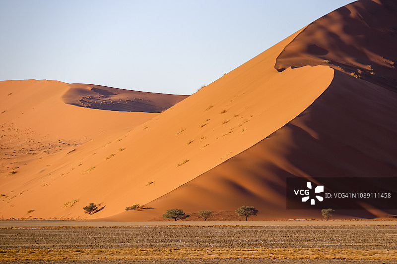纳米比亚纳米布-瑙克鲁夫特国家公园，纳米布沙漠索苏斯vlei地区的45号沙丘图片素材