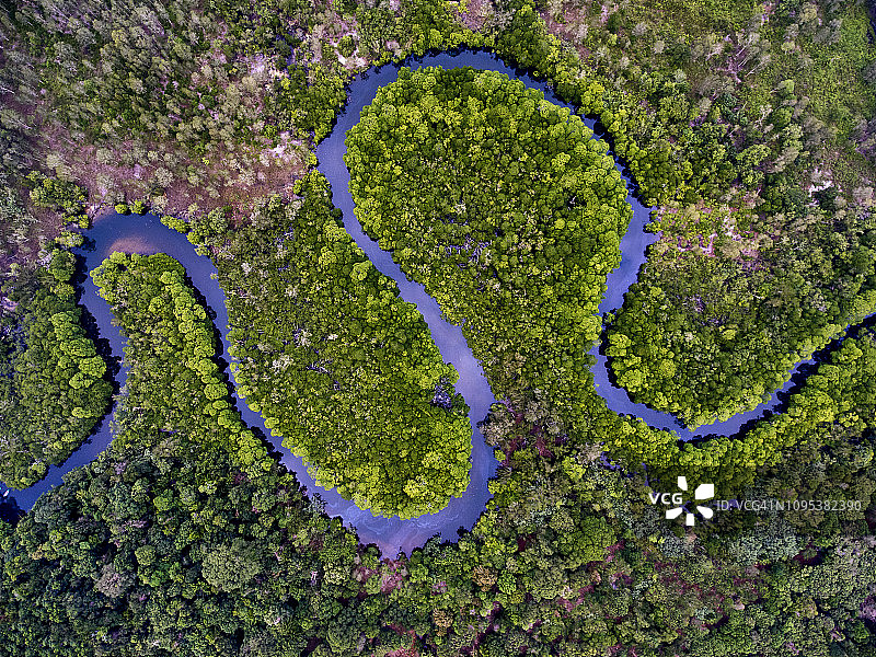 柬埔寨Kho Rong岛的河流沼泽图片素材