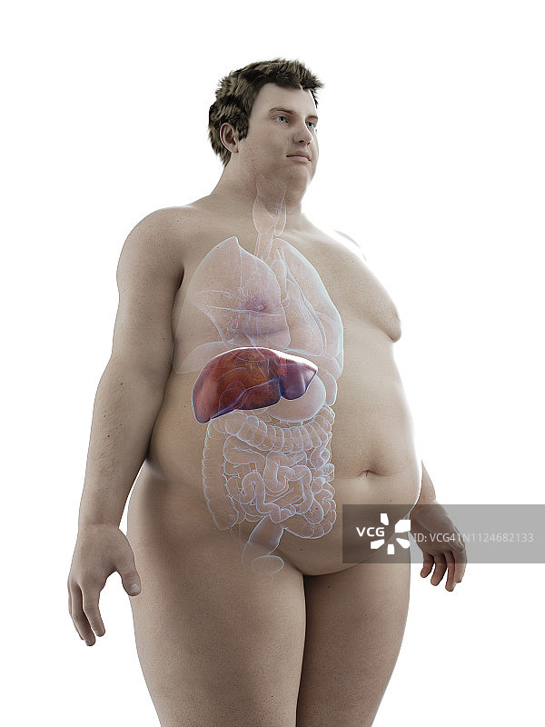 一个肥胖男子肝脏贩子的插图图片素材