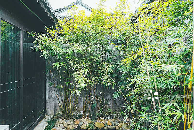 小庭院花园与观赏竹子图片素材