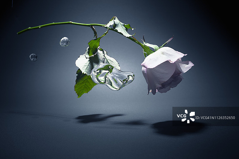 零重力空间里的花和水滴图片素材