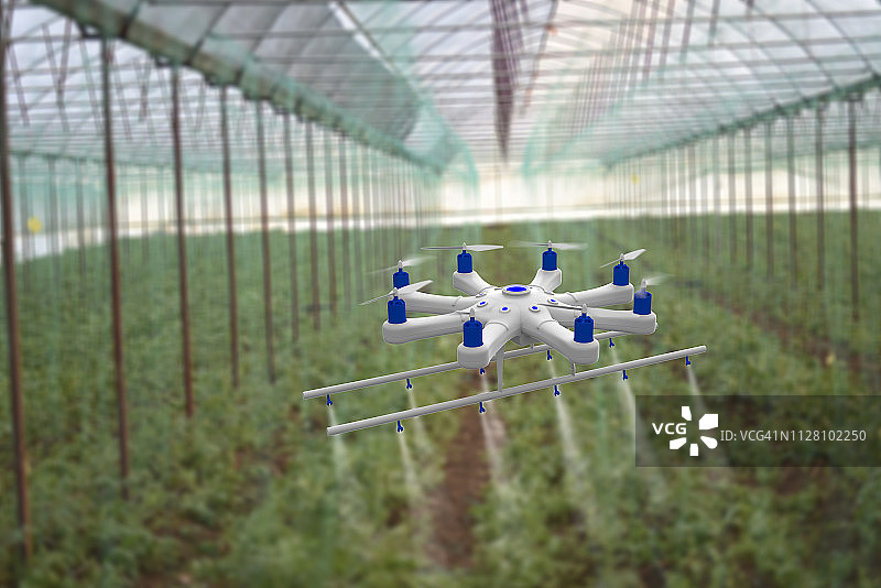 无人机在温室里喷洒农田图片素材