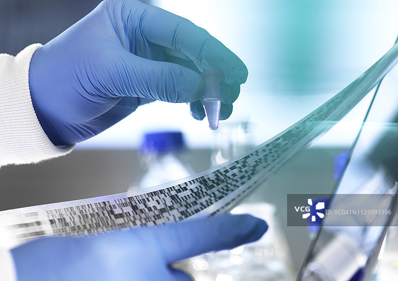 研究科学家在实验室里拿着一个小瓶里的样本，里面有自放射显影凝胶上的DNA结果图片素材