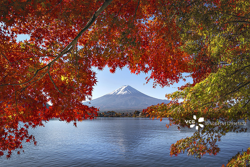 日本川口湖秋日富士山映红枫框图片素材