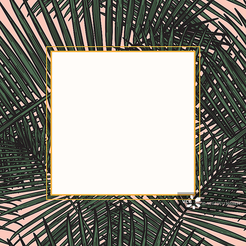 现代热带棕榈叶框架图片素材