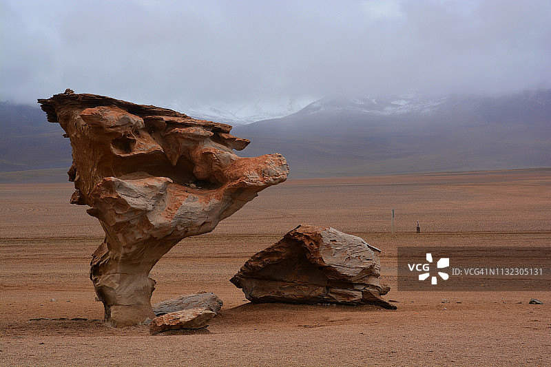 玻利维亚的石树图片素材