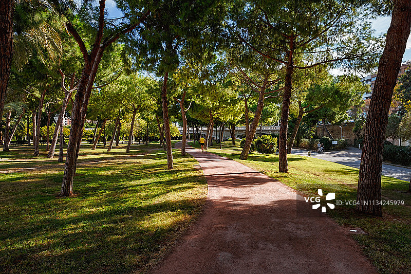 西班牙巴伦西亚一个绿树葱郁的公园里的跑道图片素材