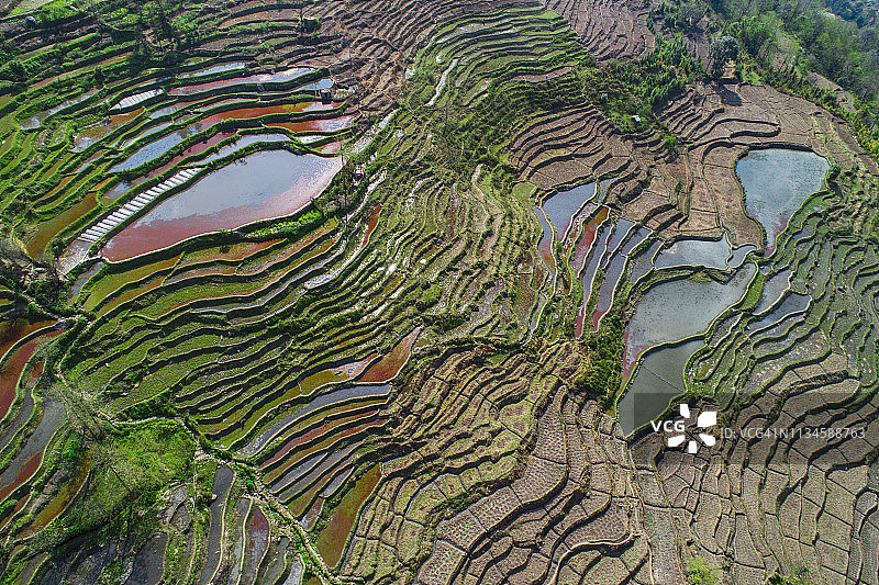 中国原阳水季的梯田图片素材