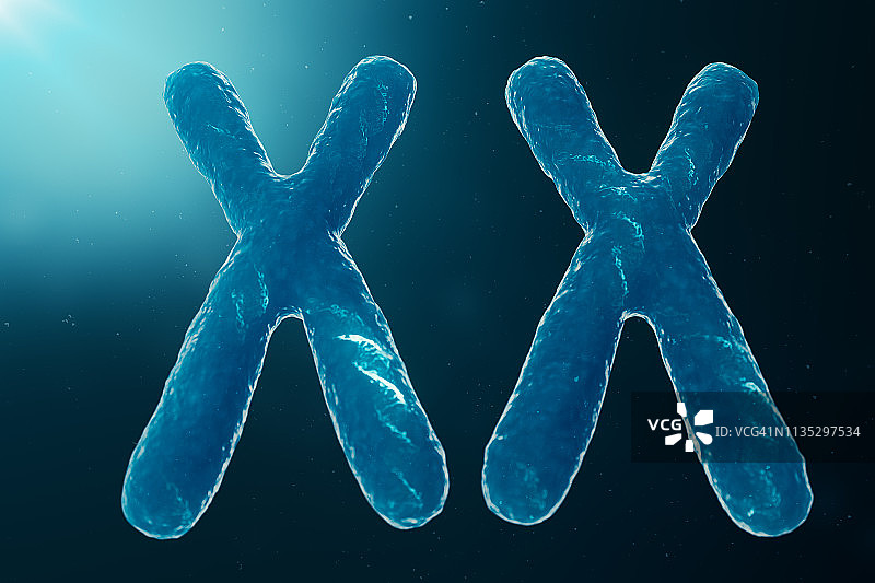 xx -携带遗传密码的DNA的染色体。遗传学概念，医学概念。未来,基因突变。改变生物层面的遗传密码，3D演示图片素材