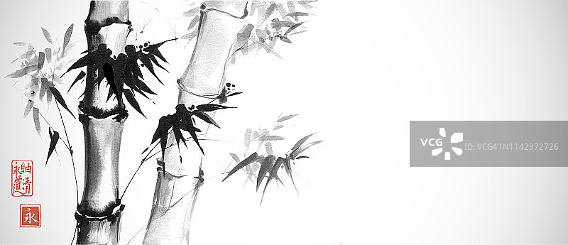 白色背景上的竹子。传统的日本水墨画。象形文字——永恒。自由、清晰。图片素材