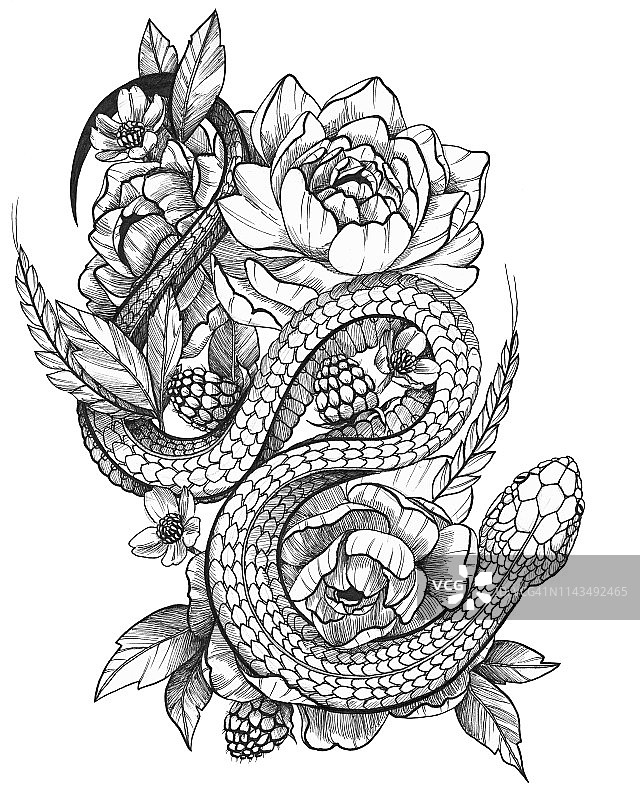 详细的黑色墨水详细的纹身蛇在花卉组成图片素材