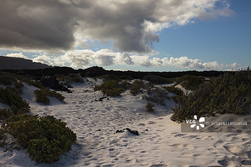 加那利群岛兰萨罗特岛的白色沙滩图片素材