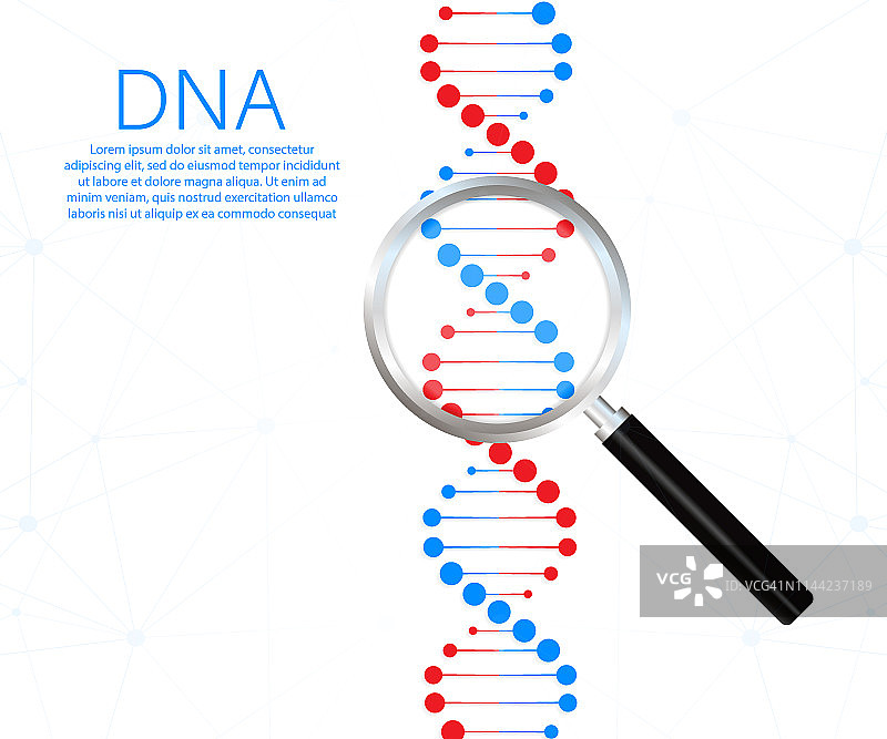 DNA链的象征。DNA遗传。矢量插图。图片素材