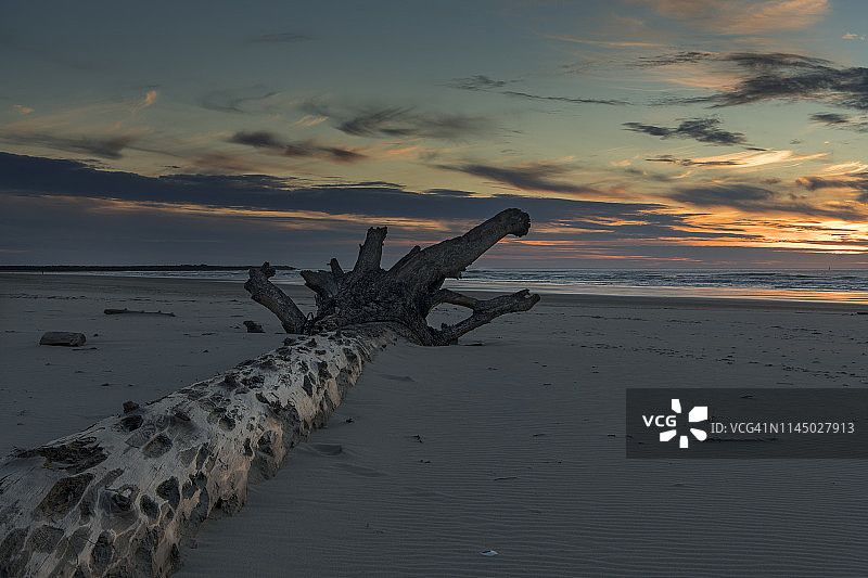 日落时分，海克塔海滩上的浮木图片素材