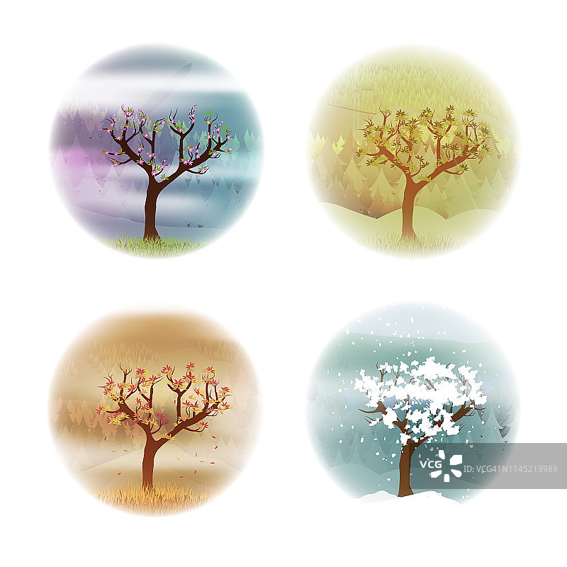 树在四季的背景下图片素材