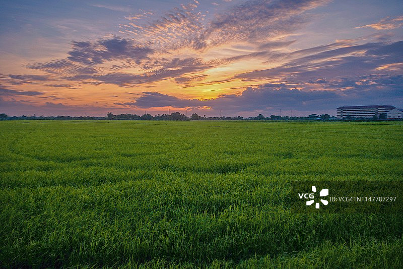 风景风景在日落时，太阳照耀在田野上对天空，泰国图片素材