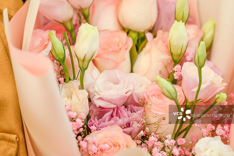 浪漫的粉色的玫瑰图片素材