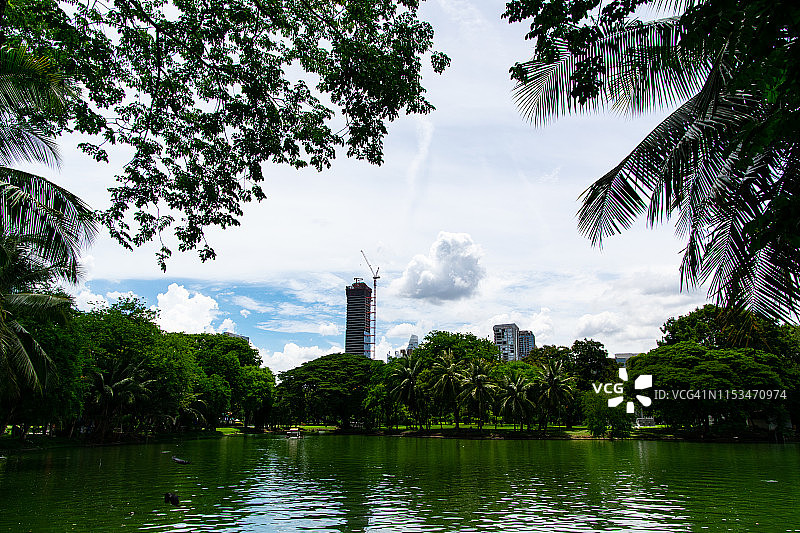 曼谷湖边的棕榈树和城市建筑图片素材