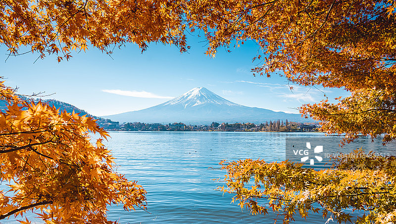 富士山被日本枫叶框在秋天，日本图片素材