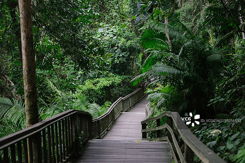 木桥穿过神圣的猴子森林保护区，乌布，印度尼西亚巴厘岛图片素材