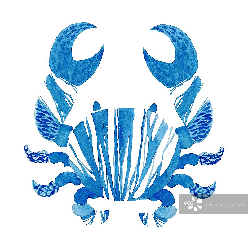 孤立水彩画集蓝蟹。水彩海鲜插图。白色背景图片素材