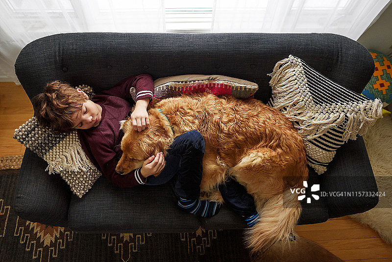 男孩躺在沙发上，抱着一只金毛猎犬图片素材