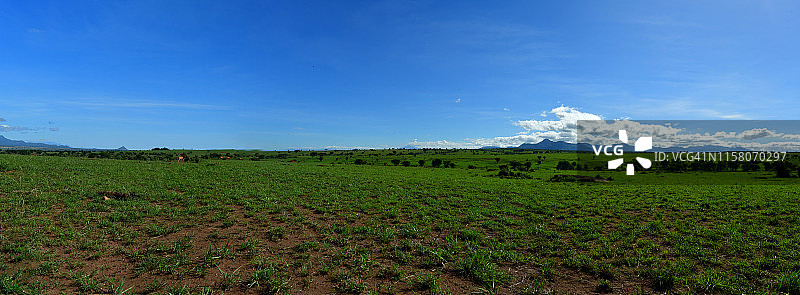 绿色的大草原landscale图片素材