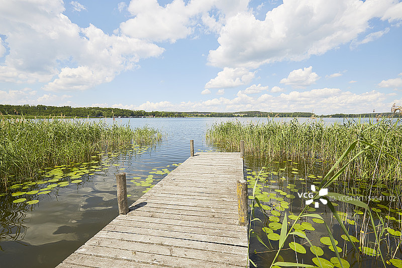 在田园诗般的湖上的码头，芦苇草映衬着天空图片素材
