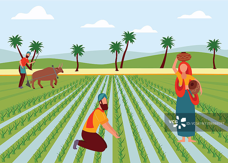 印度男性和女性农民在稻田里工作的卡通风格图片素材