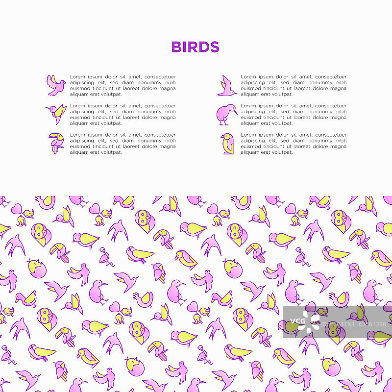 鸟类概念与细线图标集:鸽子，猫头鹰，企鹅，麻雀，燕子，猕猴桃，鹦鹉，鹰，蜂鸟，粉红色火烈鸟。现代矢量插图，印刷媒体模板。图片素材