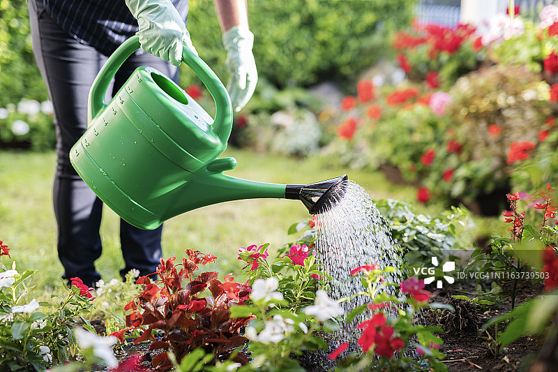 女人用绿色喷壶浇灌花园。图片素材
