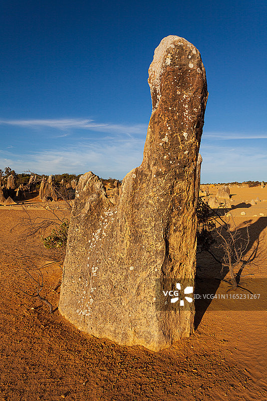 南邦国家公园的尖峰沙漠的石灰岩岩层。澳大利亚西部图片素材