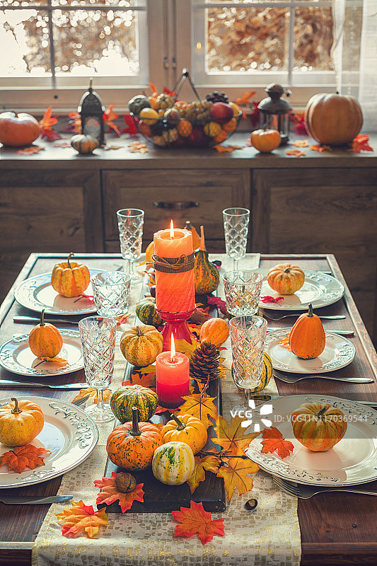 感恩节餐桌摆设与秋季装饰图片素材