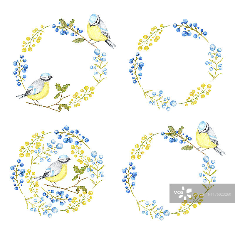 秋叶，浆果和山雀框架设置孤立在一个白色的背景。水彩小鸟蓝山雀坐在树枝上手绘。贺卡，海报，横幅概念与文本复制空间图片素材
