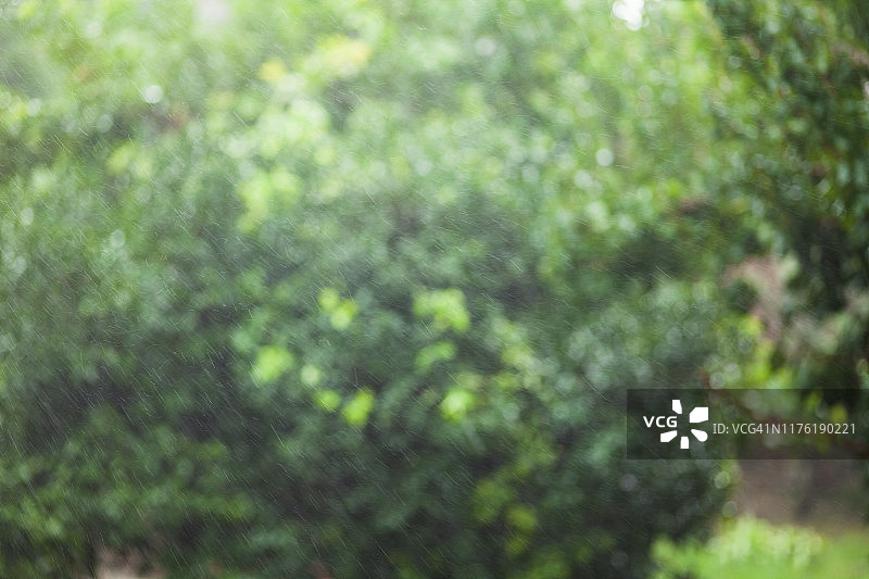 多雨的背景图片素材