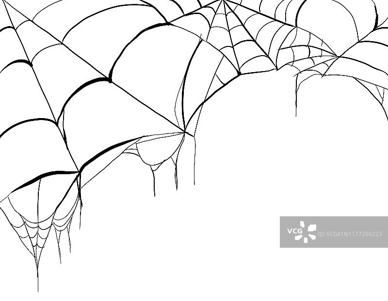 万圣节蜘蛛网和蜘蛛的插图图片素材