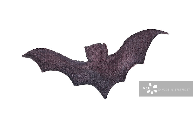 蝙蝠的黑色剪影。万圣节可爱的插图。水彩万圣节集合。图片素材