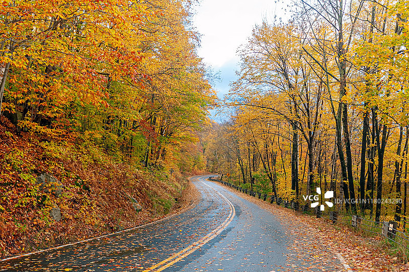 美国新英格兰新罕布夏州林肯坎坎格斯高速公路上的秋叶景象图片素材