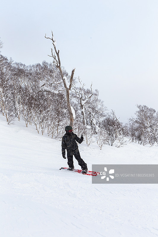 在山坡上。日本二世谷的冬天。图片素材