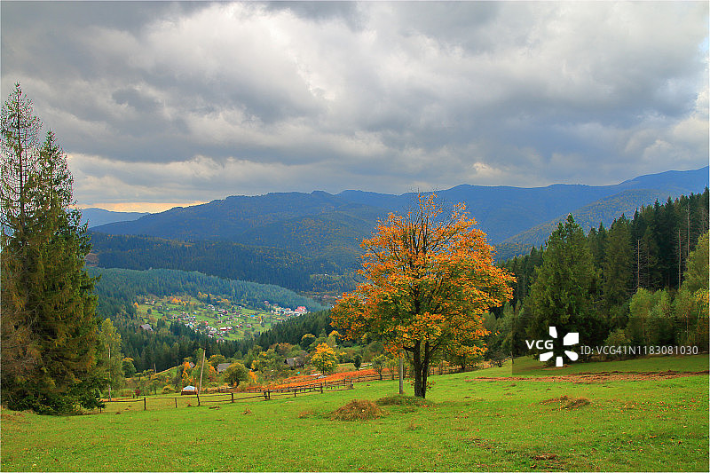秋天的风景与喀尔巴阡山区的一个村庄。图片素材