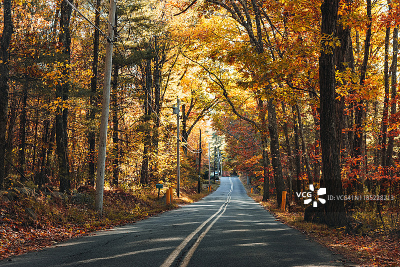缅因州的秋天之路图片素材