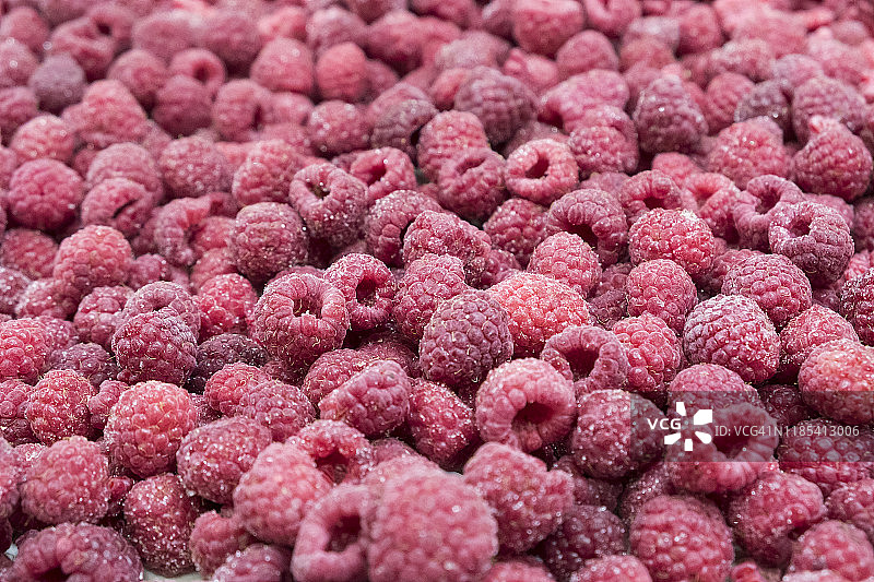 冷冻树莓图片素材