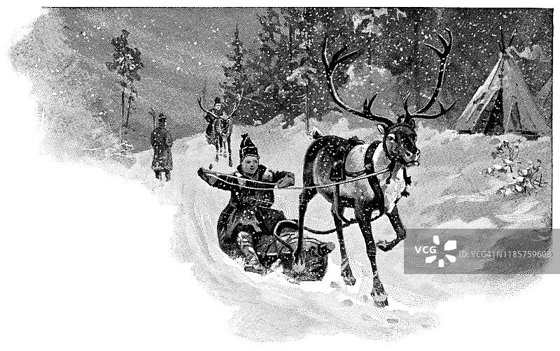 19世纪，挪威特罗姆的萨米人用驯鹿拉雪橇图片素材
