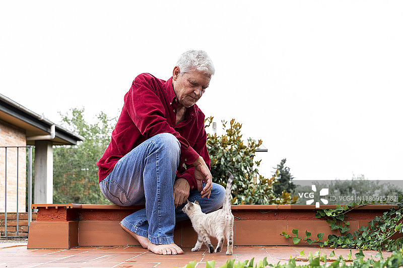 老人带着小猫坐在屋顶露台上图片素材