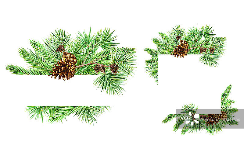 圣诞贺卡集，海报，旗帜概念的松树枝和松果在白色的背景，新年水彩手绘插图与文本的复制空间图片素材