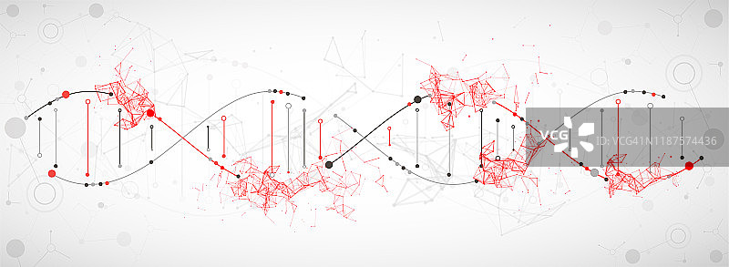 科学模板，抽象背景与3D DNA分子。矢量插图。图片素材